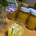 りりりキッチン's cooksnap of when they made 梅ピューレ.