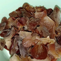 ikoiアフィニティ's cooksnap of when they made 生きくらげの下処理・保存方法.
