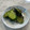 春巻きママ's cooksnap of when they made 白だしと塩昆布で簡単☆きゅうりのお漬物.