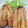 マンダリ's cooksnap of when they made 揚げ焼きで簡単☆鰯のフライ.