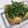 きらり流れ星's cooksnap of when they made カリカリ厚揚げの大葉のせ.