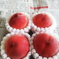 みぽぴぽ's cooksnap of when they made 1ヶ月保つ！生桃の保存方法！.