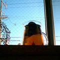 にゃ+'s cooksnap of when they made おひさま頼みのSUN♪TEA.