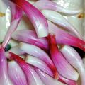 なばぁ♪'s cooksnap of when they made らっきょうの下処理♪.