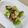 ＊＊ラテ＊＊'s cooksnap of when they made そら豆の素揚げ(フライビーンズ).