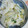まりゆりひろこ's cooksnap of when they made 【簡単】大根とたくあんのサラダ.