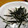クックNVJDVI☆'s cooksnap of when they made 長芋の千切り方法.