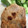 saki1010's cooksnap of when they made 簡単に漬け込み♪豚ロースの味噌漬け。.