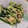 初レポまにあ's cooksnap of when they made 卵と胡瓜のナムル風炒め物.