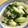 pali's cooksnap of when they made めちゃうまっ！簡単炒め青梗菜.