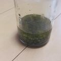 きらり流れ星's cooksnap of when they made 簡単手作り！和風青じそドレッシング.
