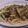 きらり流れ星's cooksnap of when they made 白だしでパパッと簡単！夏野菜で焼うどん♡.