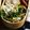 ガメコ's cooksnap of when they made ＊塩昆布入り！豆もやしのナムル＊.