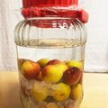 noezou's cooksnap of when they made パープルクイーン梅酒.