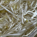 ささッこ's cooksnap of when they made もやしの保存方法！！長持ちしますよ。.