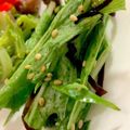 MULA's cooksnap of when they made 簡単！旨い！　✿水菜のサラダ✿.