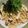 ともとも食堂's cooksnap of when they made 美味♪たらこスパゲティ.