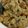 さぁ★たぁ★'s cooksnap of when they made さば缶＆ひじきde炊き込みご飯.