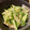 マールマル's cooksnap of when they made きゅうりとやわらぎメンマ和え.