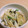 すずなまり's cooksnap of when they made ごぼうとしめじの鶏だしレモン【作りおき】.