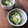 栗丸うさぎ's cooksnap of when they made 時短！きゅうりと大根のゆかり胡麻和え.