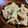 低カロ探検隊's cooksnap of when they made 土佐煮.