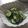 きらり流れ星's cooksnap of when they made 甘酢生姜ときゅうりの和え物.