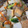 クック8W1QGA☆'s cooksnap of when they made ♡お野菜たっぷり厚揚げの炒め物♡.