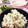 フジぽん's cooksnap of when they made 塩麹でえのきの炊き込みご飯.