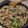 みこひろママ's cooksnap of when they made 豚肉と小松菜、もやしとしめじの中華風炒め.