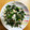 kuppipipi's cooksnap of when they made 簡単！ニラもやし中華風炒め.