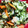 クックEM7ZQU☆'s cooksnap of when they made ＊作り置き・きゅうりとキクラゲの酢の物＊.