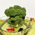 ★ころんたん★'s cooksnap of when they made ブロッコリーは料理前に水を♪.