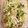 Maaron220's cooksnap of when they made 味しみしみ！春雨サラダ.