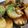 abba32's cooksnap of when they made バター醤油の長芋ステーキ.