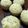 ameうめ's cooksnap of when they made 黒大豆しぼり甘納豆蒸しパン.