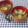 みかかめ's cooksnap of when they made 身体に染みる　あさりの味噌汁.