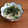 Etsu☆ko's cooksnap of when they made エノキと胡瓜のとろろ和え.