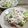 イベ長's cooksnap of when they made 完了期☆ブロッコリーとじゃこの和風サラダ.