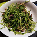 太巻きたまご's cooksnap of when they made 豆苗と砂肝の塩炒め.