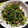 太巻きたまご's cooksnap of when they made 豆苗と砂肝の塩炒め.