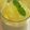 takoyuma's cooksnap of when they made 簡単！マンゴームース.