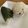 なごり's cooksnap of when they made 塩昆布とおかかクリームチーズのおにぎり.