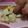 ぱっくまん★'s cooksnap of when they made ☼しめじとコーンのバター醤油炒め.
