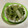 papikun's cooksnap of when they made ☺ご飯のお供に☆簡単♪セロリの浅漬け☺.