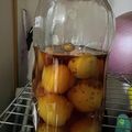 クック99U2X7☆'s cooksnap of when they made 「辛口の酒が好きな諸兄に」氷砂糖無し梅酒.