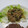 し～くま's cooksnap of when they made ご飯がすすむ！簡単春雨炒め.
