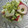 まいちゃと's cooksnap of when they made おろしきゅうりとタコのマリネ.