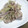 ひろちゃん☆ママ's cooksnap of when they made みょうがと豚こま爽やか炒め.