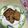 クックyayo☆'s cooksnap of when they made さっくり★全粒粉レーズンスコーン.